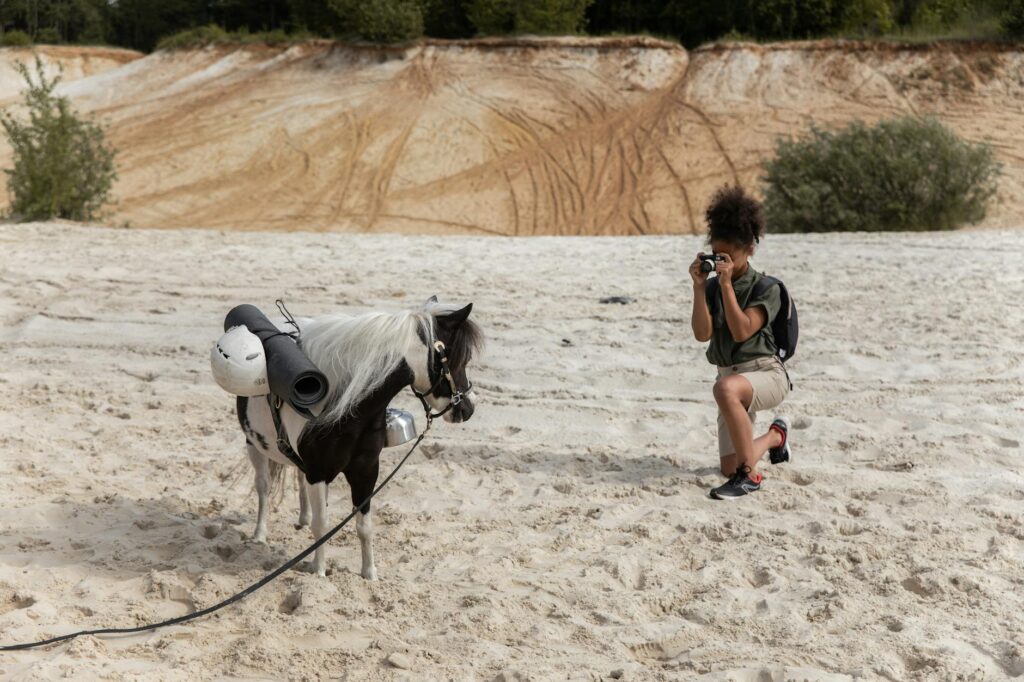 Peluche cheval : modèles réalistes ou doudous selon l'âge - Photo par KATRIN BOLOVTSOVA