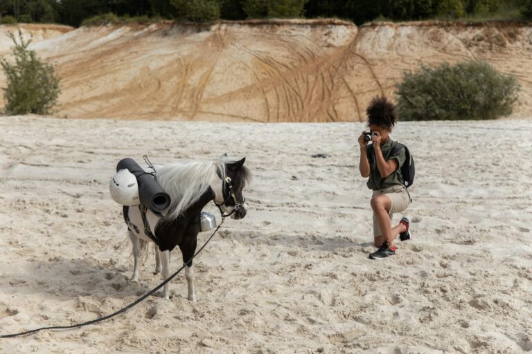 Peluche cheval : modèles réalistes ou doudous selon l'âge
