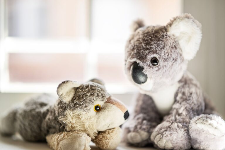 Peluche koala : sélection et idées cadeau